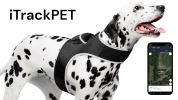 Get Highly Precise Readings w/ Pet Tracker Mini Dog Tracking Collar Device Size:L