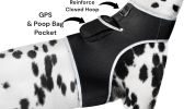 Get Highly Precise Readings w/ Pet Tracker Mini Dog Tracking Collar Device Size:L