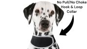 Get Highly Precise Readings w/ Pet Tracker Mini Dog Tracking Collar Device Size:L