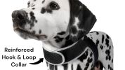 Collar Mini Cat Dog Tracking Chip Pet Locator Rechargeable GPS Tracker Size:L