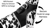 Affordable Mini Realtime GSM GPS GPRS Dog Tracking Collar Mount Device Size:L