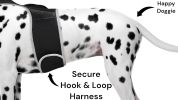 Collar Attached GSM Rechargeable Cat Locator Device GPS Realtime Tracker w/ App Size:L